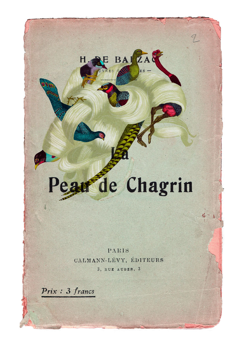 La Peau de Chagrin | Delphine Lebourgeois | La Peau de Chagrin