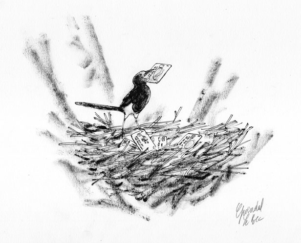 Pie Voleuse | Gwendal LeBec | Pie Voleuse