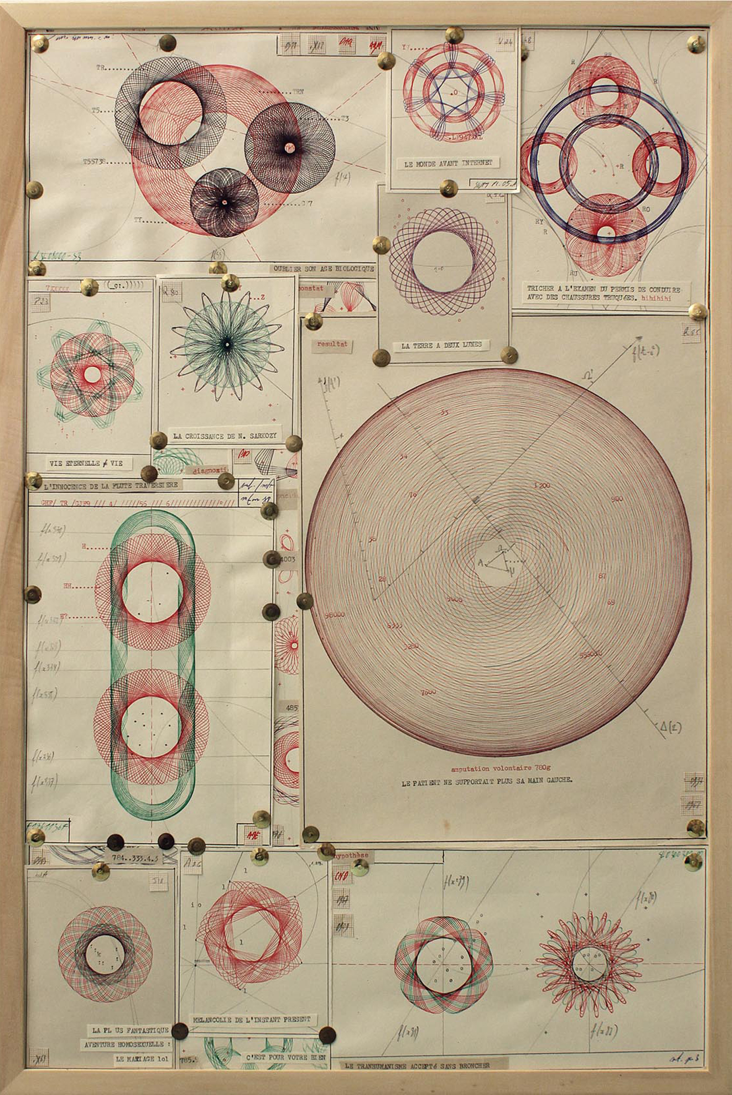 8 - Amputation volontaire 780 g | Lorenzo Papace | (Oeuvres 8 à 11) Observations, constats, analyses, diagnostics, déductions, rapports, hypothèses et conclusions.