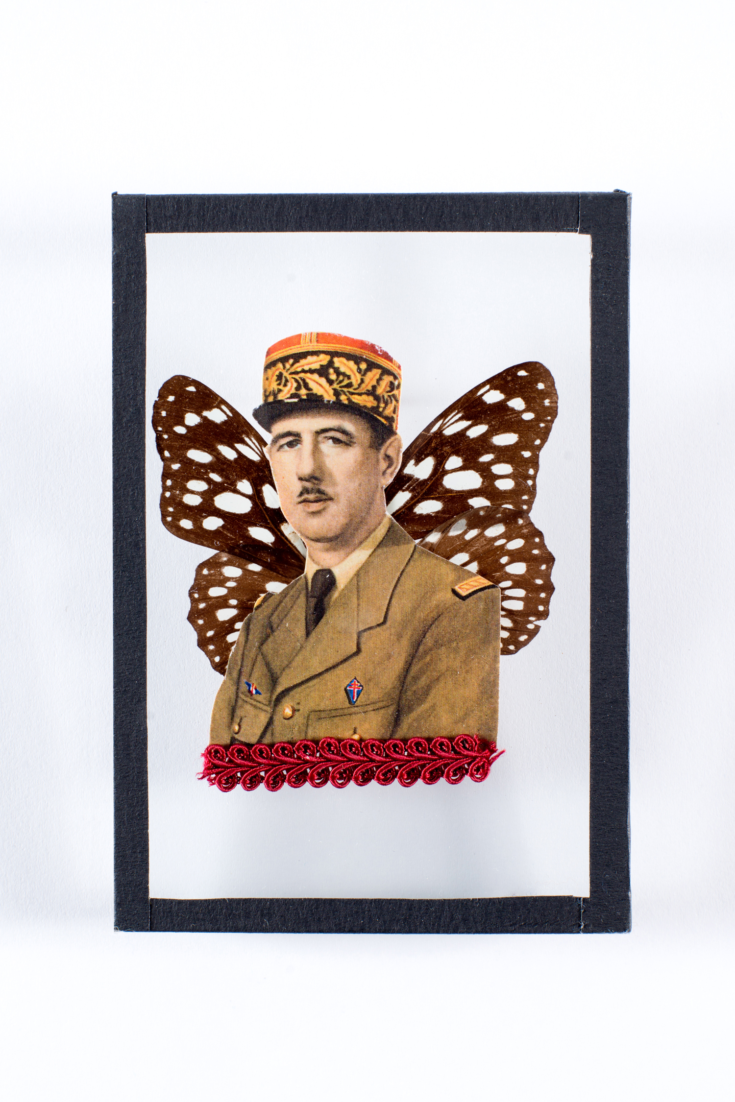 Homme Illustre-Papillon n°6 | Maïssa Toulet | Hommes Illustres-Papillons (n° 4 à 6)