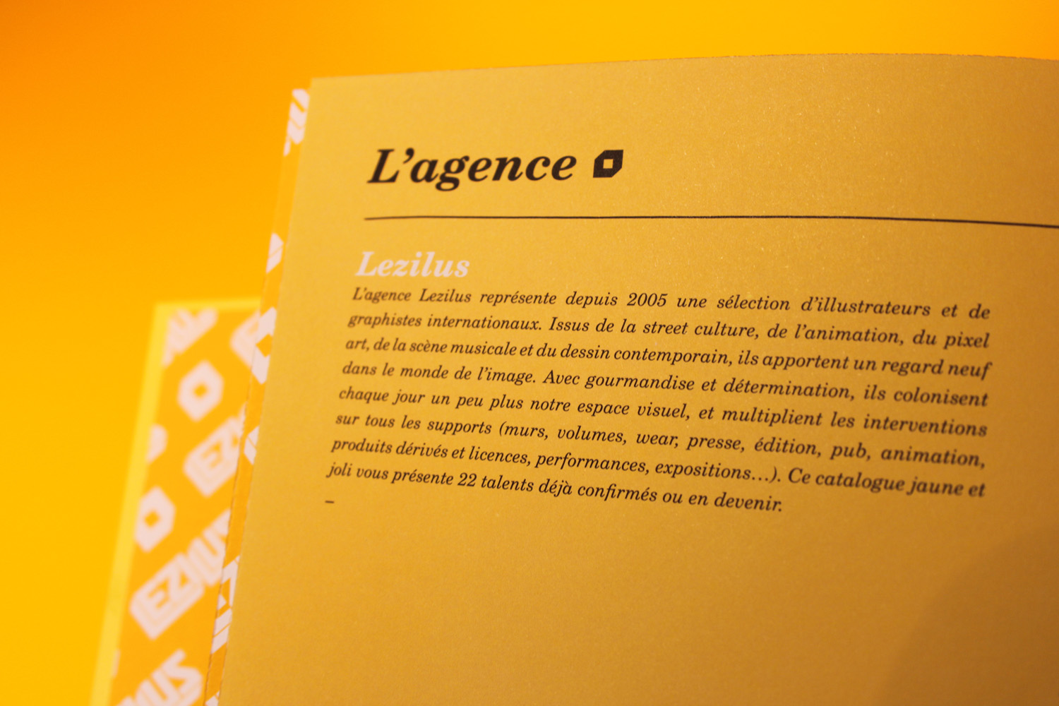 Sommaire - présentation de l'agence | Catalogue d'Illustrations | Lezilus 2012