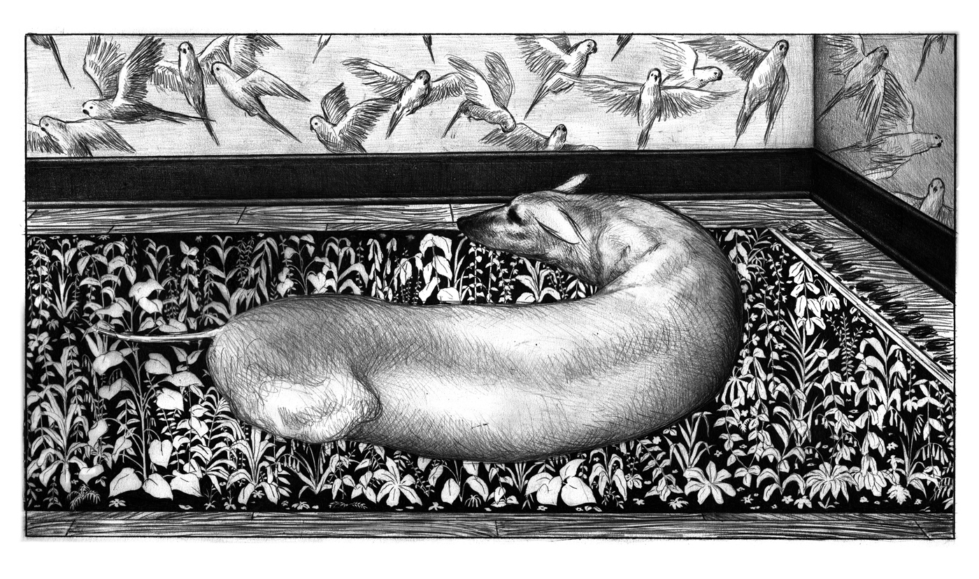 02 | La Mort du chien | Nicolas Zouliamis