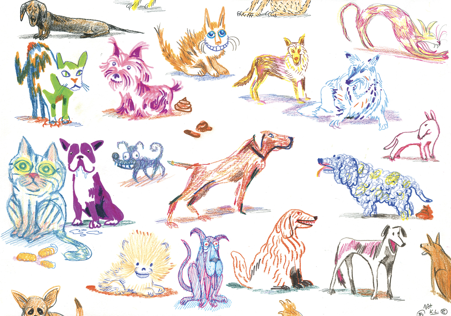 nouvelle image | Wild Dogs and Crazy Cats 2 | 