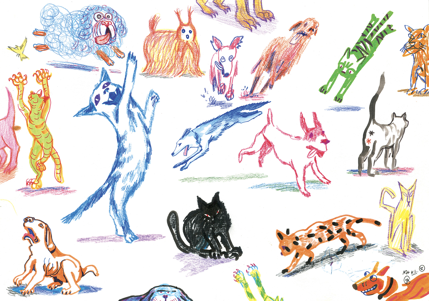 nouvelle image | Wild Dogs and Crazy Cats 3 | 