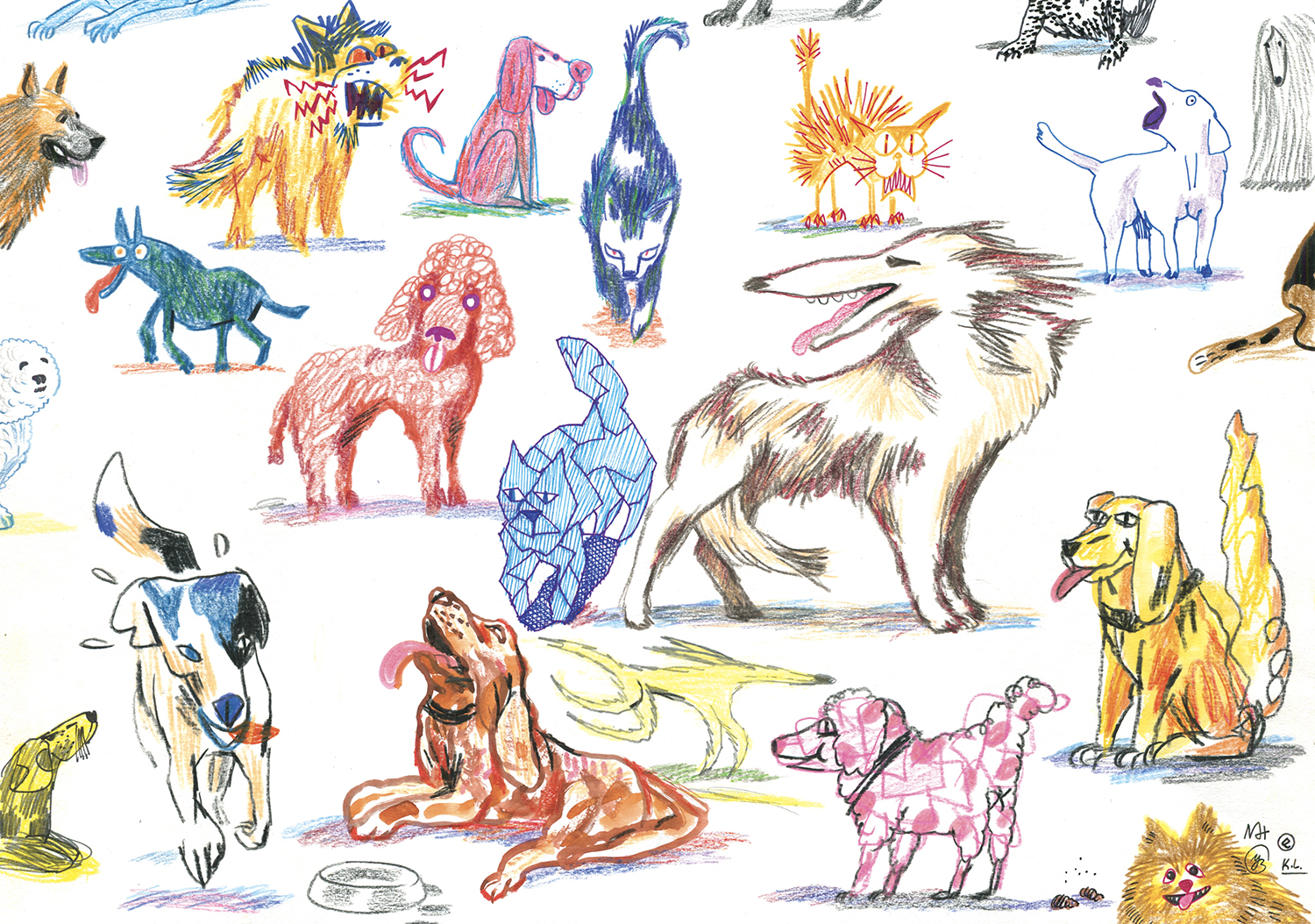 nouvelle image | Wild Dogs and Crazy Cats 4 | 