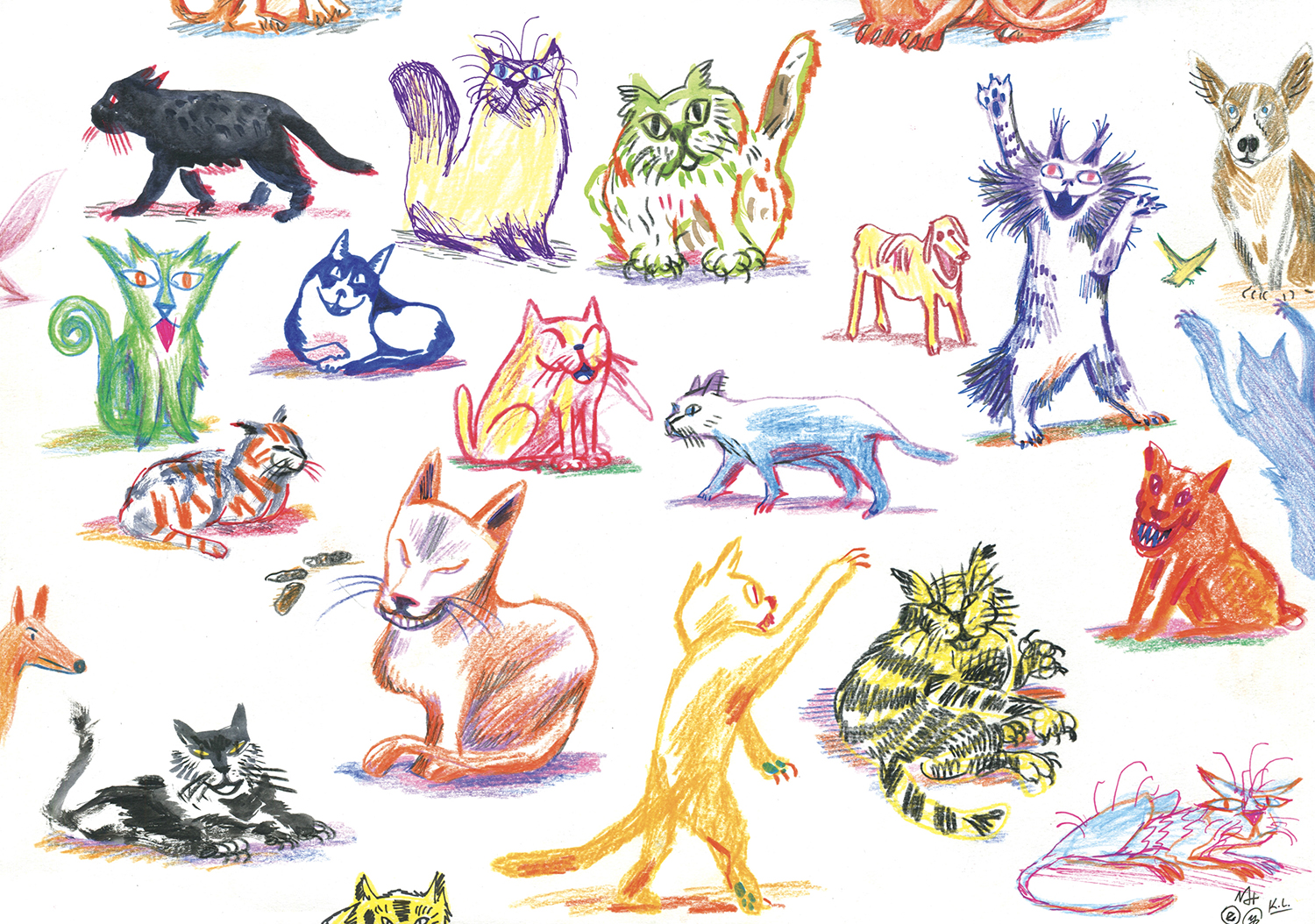 nouvelle image | Wild Dogs and Crazy Cats 6 | 