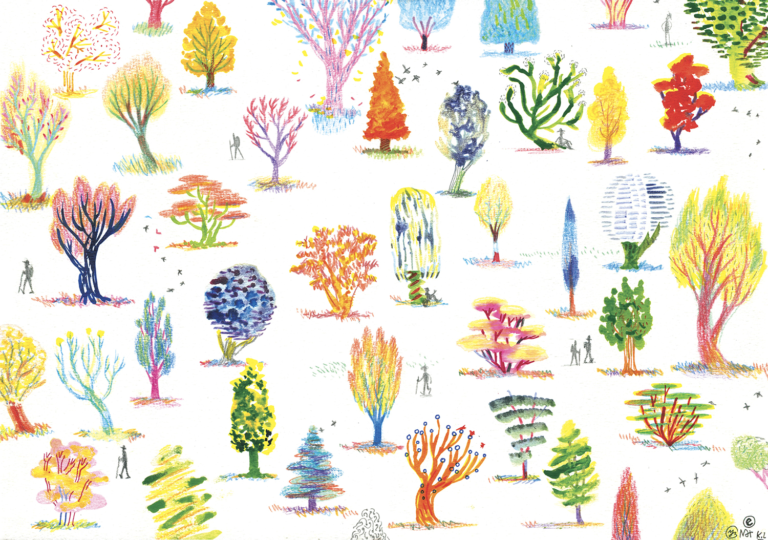 nouvelle image | Printemps 1 | 