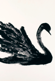 René Gruau Cygne René Gruau Cygne