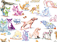 Wild Dogs and Crazy Cats 2 