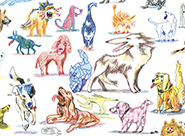 Wild Dogs and Crazy Cats 4 