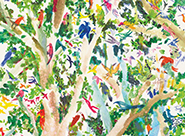 La Conf&eacute;rence des Oiseaux 